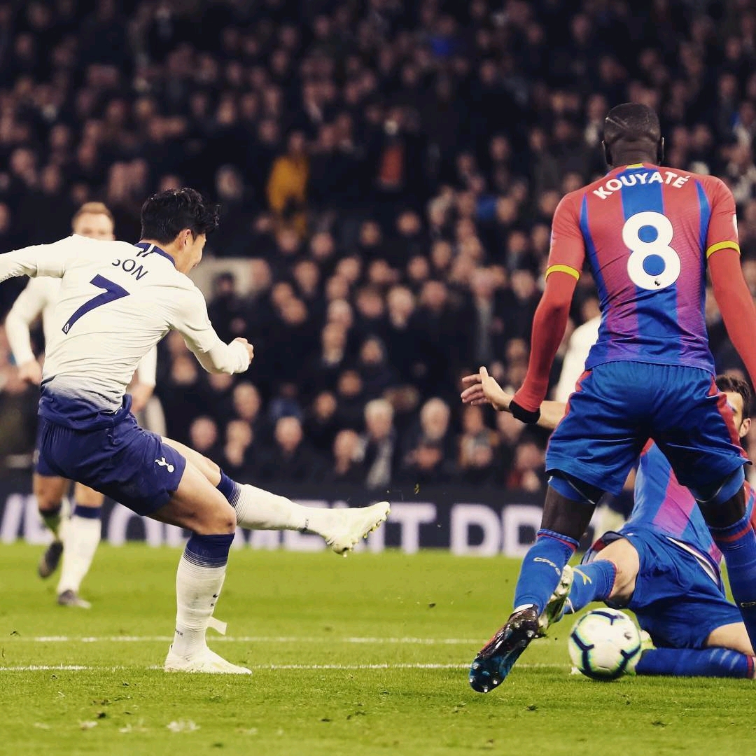 他们强大的 他们强大的